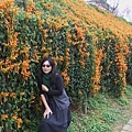 IMG_6480_調整大小.JPG