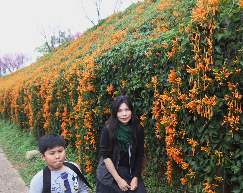 IMG_6482_調整大小.JPG IMG_6482_調整大小.JPG