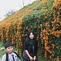 IMG_6482_調整大小.JPG
