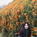 IMG_6484_調整大小.JPG