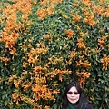 IMG_6485_調整大小.JPG