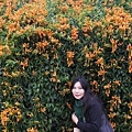 IMG_6490_調整大小.JPG