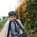IMG_6491_調整大小.JPG