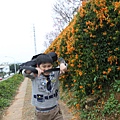 IMG_6492_調整大小.JPG