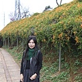 IMG_6493_調整大小.JPG