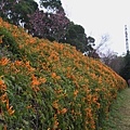 IMG_6494_調整大小.JPG