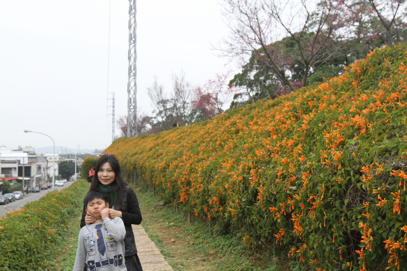 IMG_6495_調整大小.JPG IMG_6495_調整大小.JPG