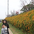IMG_6495_調整大小.JPG