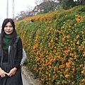 IMG_6498_調整大小.JPG
