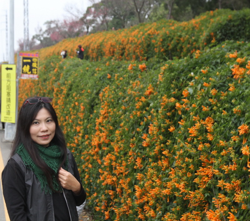 IMG_6499_調整大小.JPG IMG_6499_調整大小.JPG