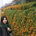 IMG_6499_調整大小.JPG