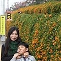 IMG_6500_調整大小.JPG