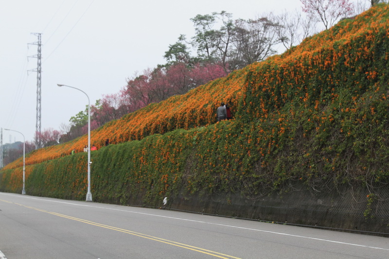 IMG_6502_調整大小.JPG IMG_6502_調整大小.JPG