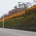 IMG_6502_調整大小.JPG