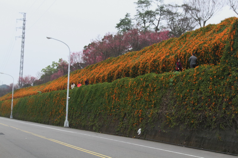 IMG_6503_調整大小.JPG IMG_6503_調整大小.JPG