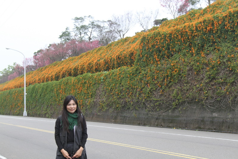 IMG_6504_調整大小.JPG IMG_6504_調整大小.JPG