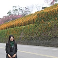 IMG_6504_調整大小.JPG