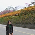 IMG_6507_調整大小.JPG