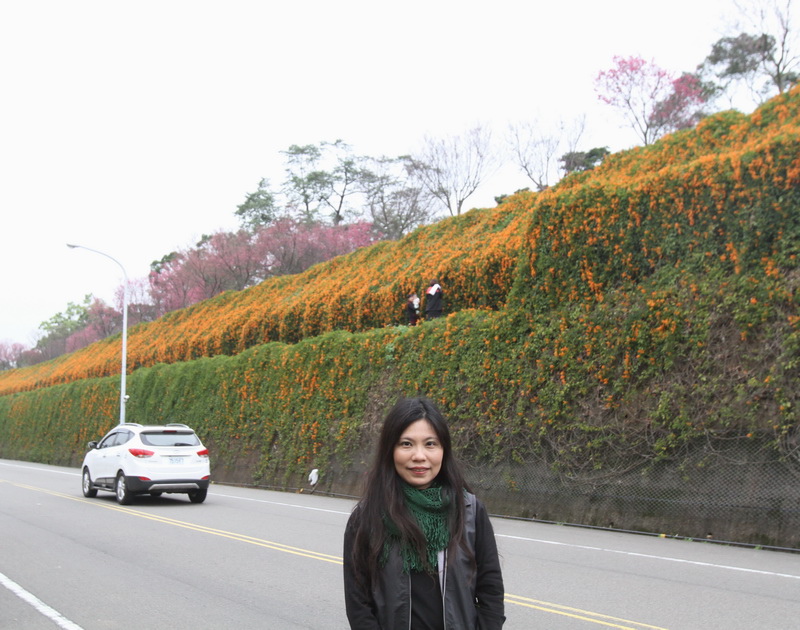 IMG_6509_調整大小.JPG IMG_6509_調整大小.JPG