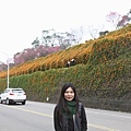 IMG_6509_調整大小.JPG