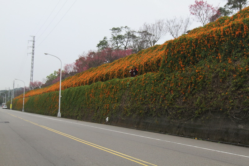 IMG_6511_調整大小.JPG IMG_6511_調整大小.JPG