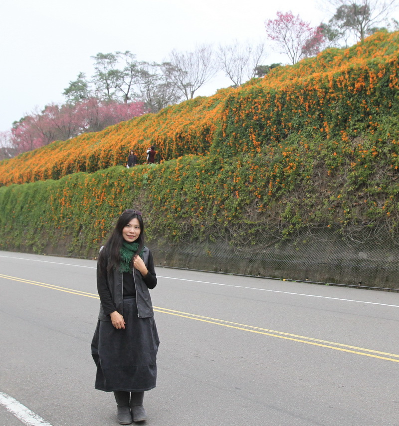 IMG_6512a_調整大小.jpg IMG_6512a_調整大小.jpg