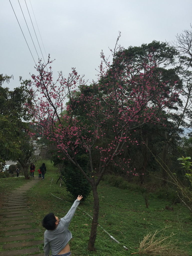 IMG_7119_調整大小.JPG IMG_7119_調整大小.JPG