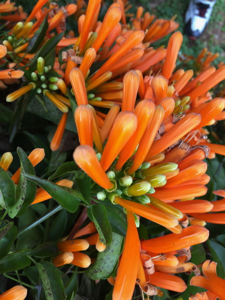 IMG_7121_調整大小.JPG IMG_7121_調整大小.JPG