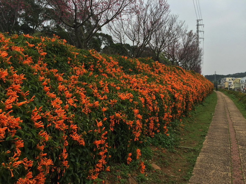 IMG_7127_調整大小.JPG IMG_7127_調整大小.JPG