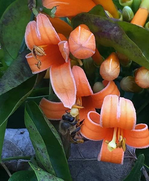 IMG_7146_調整大小.JPG IMG_7146_調整大小.JPG