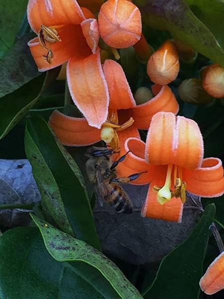 IMG_7148_調整大小.JPG IMG_7148_調整大小.JPG