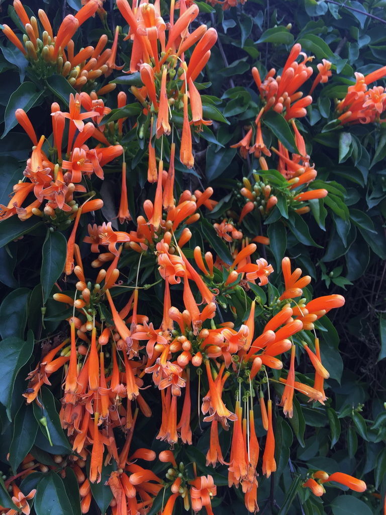 IMG_7157_調整大小.JPG IMG_7157_調整大小.JPG