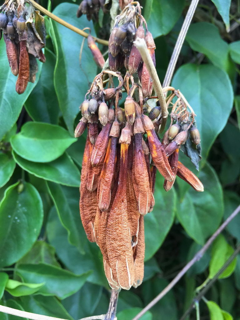 IMG_7158_調整大小.JPG IMG_7158_調整大小.JPG