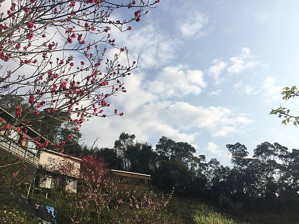 IMG_7375_調整大小