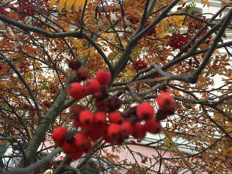 IMG_1012_調整大小.JPG IMG_1012_調整大小.JPG