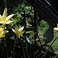 IMG_2822_調整大小.JPG