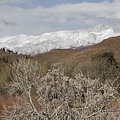 IMG_8964_調整大小.JPG