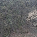IMG_0454_調整大小.JPG