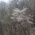 IMG_0459_調整大小.JPG
