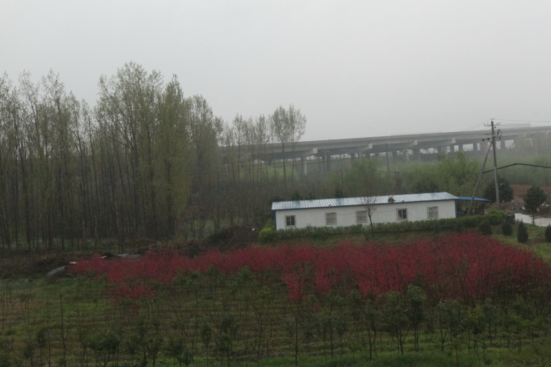 IMG_0672_調整大小.JPG IMG_0672_調整大小.JPG