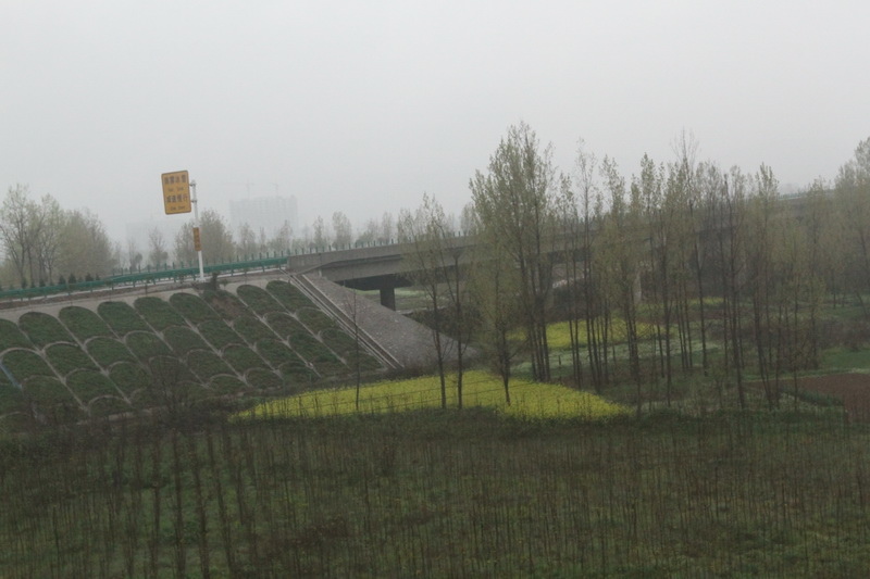 IMG_0674_調整大小.JPG IMG_0674_調整大小.JPG
