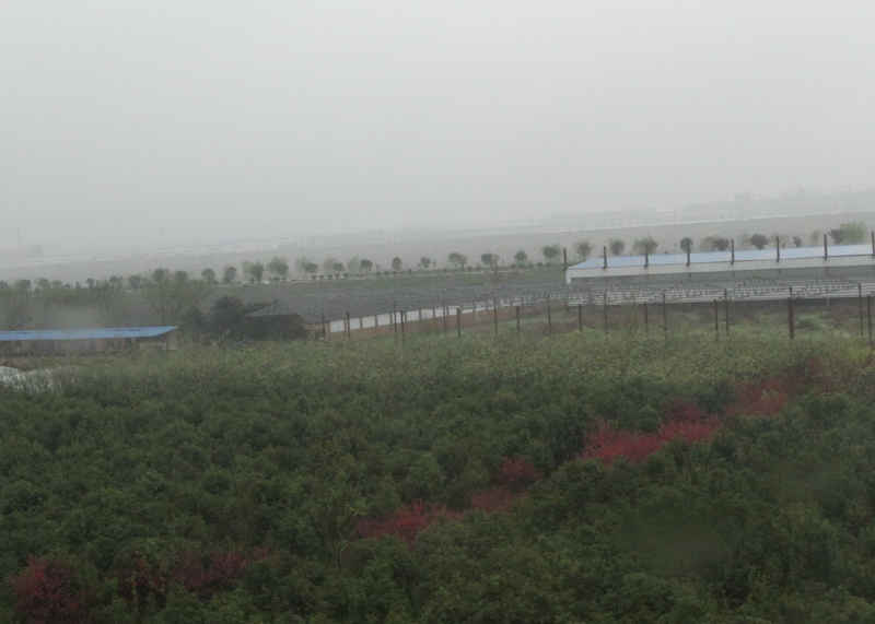 IMG_0675_調整大小.JPG IMG_0675_調整大小.JPG