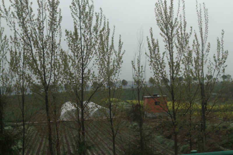 IMG_0681_調整大小.JPG IMG_0681_調整大小.JPG