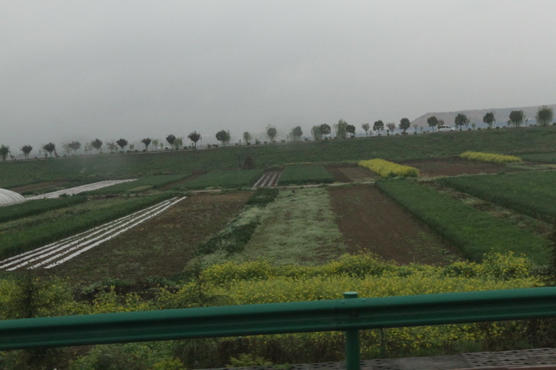 IMG_0682_調整大小.JPG IMG_0682_調整大小.JPG