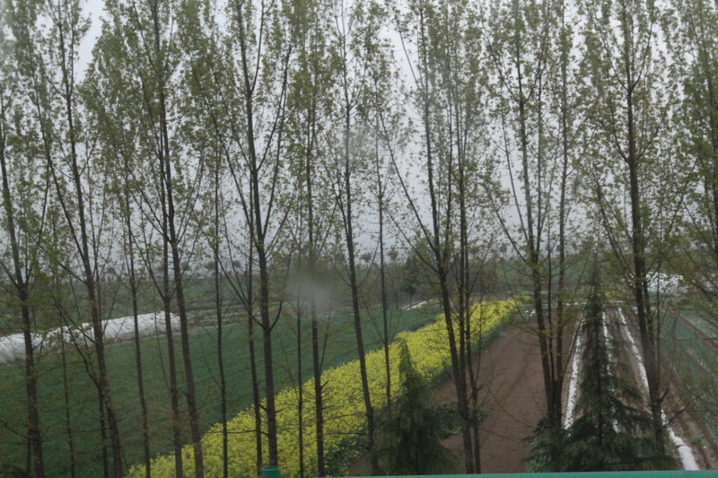 IMG_0684_調整大小.JPG IMG_0684_調整大小.JPG