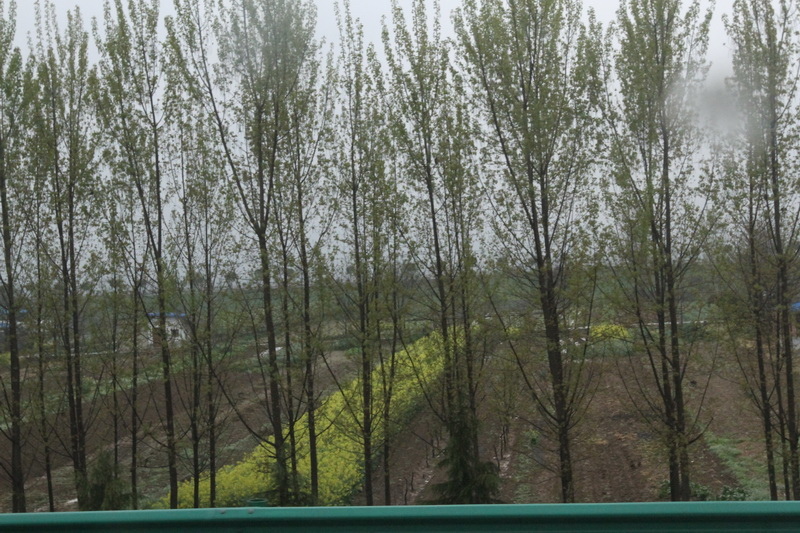 IMG_0685_調整大小.JPG IMG_0685_調整大小.JPG
