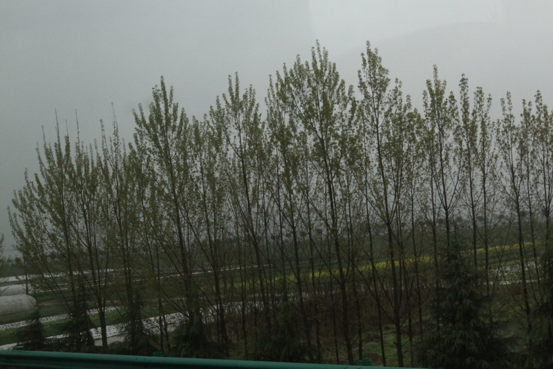 IMG_0686_調整大小.JPG IMG_0686_調整大小.JPG
