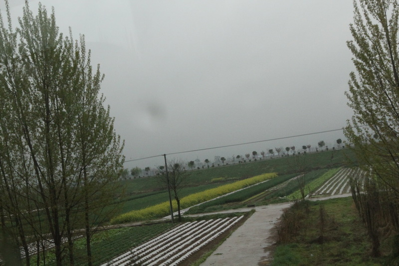 IMG_0687_調整大小.JPG IMG_0687_調整大小.JPG