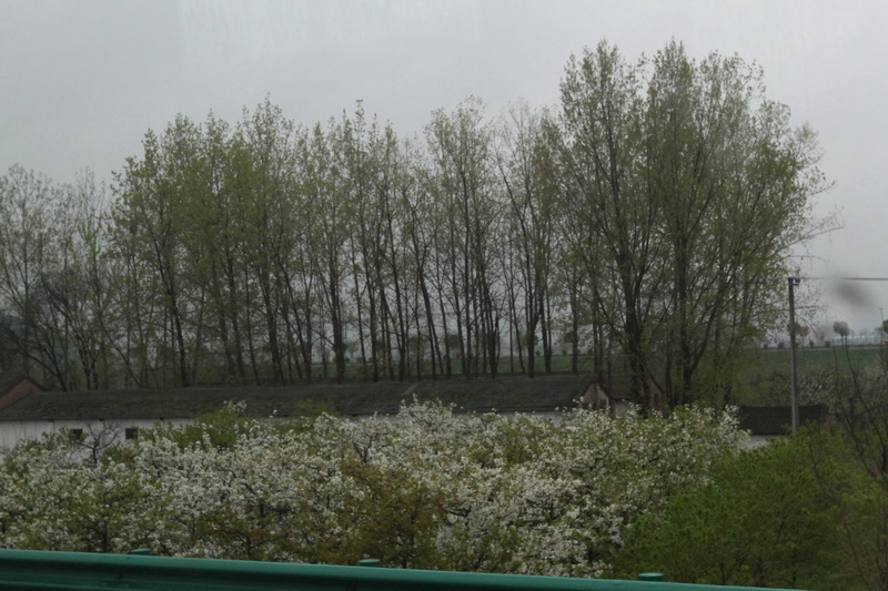 IMG_0688_調整大小.JPG IMG_0688_調整大小.JPG