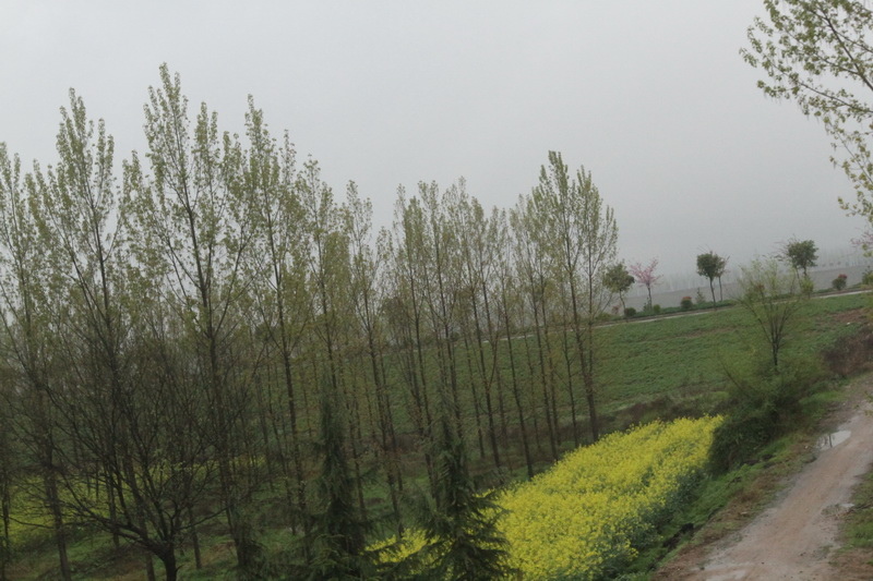 IMG_0689_調整大小.JPG IMG_0689_調整大小.JPG